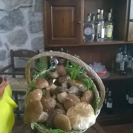 Il Laghetto